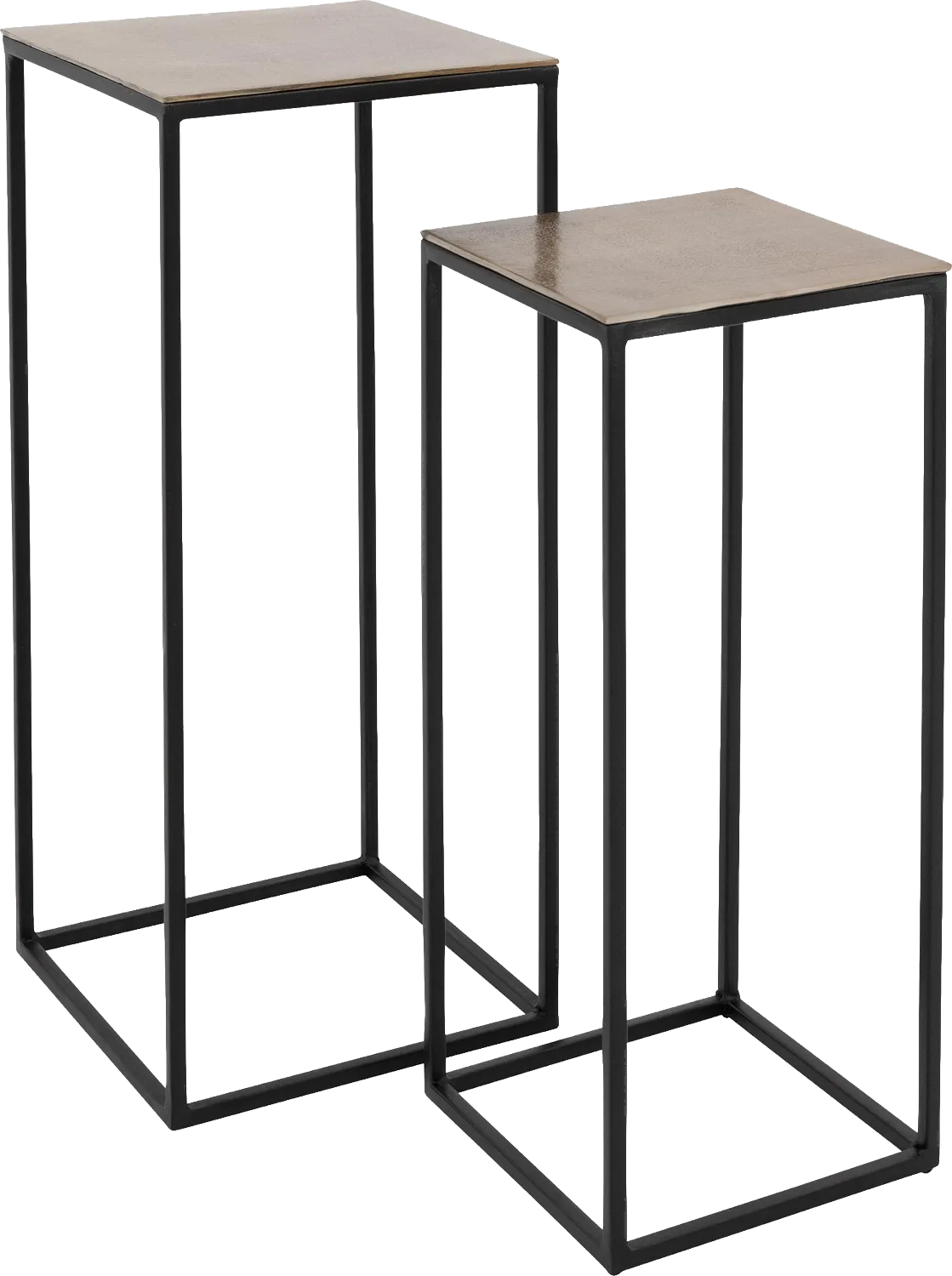 Plantentafel Fille - set van 2
