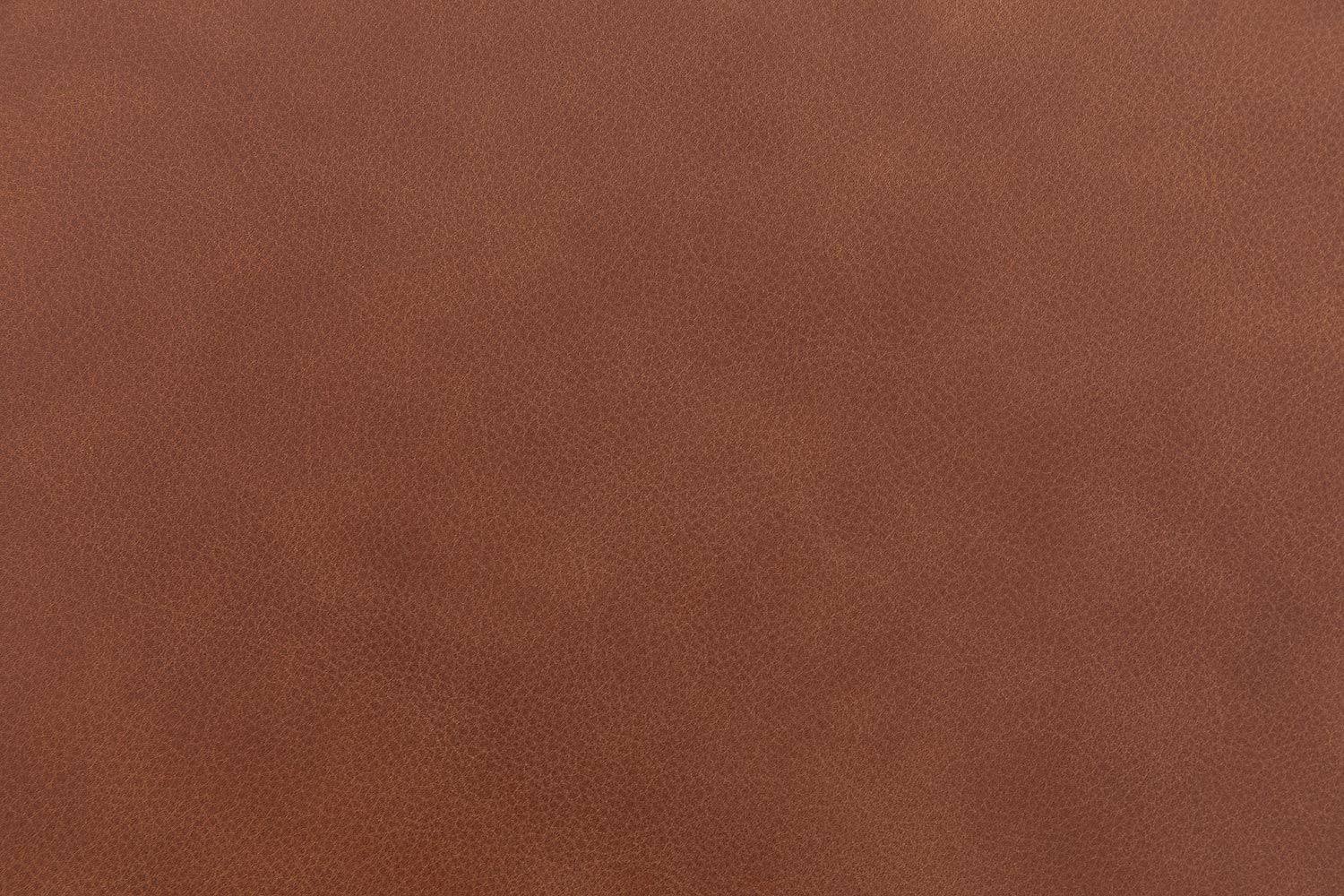 8196117-05