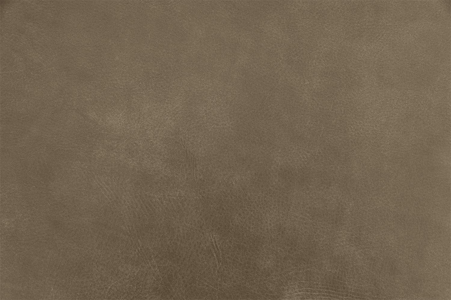 8191148-196-06