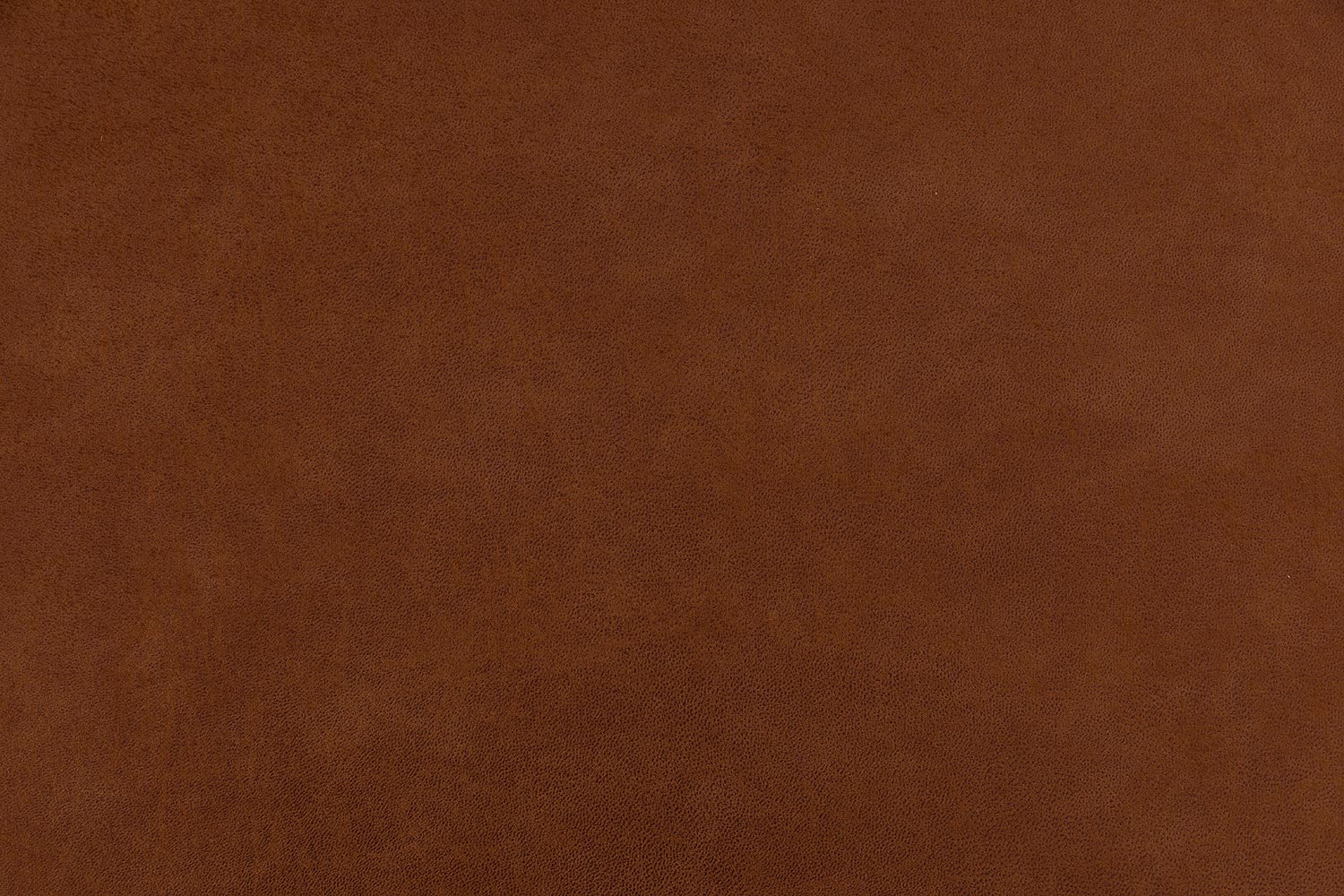 8210625-06