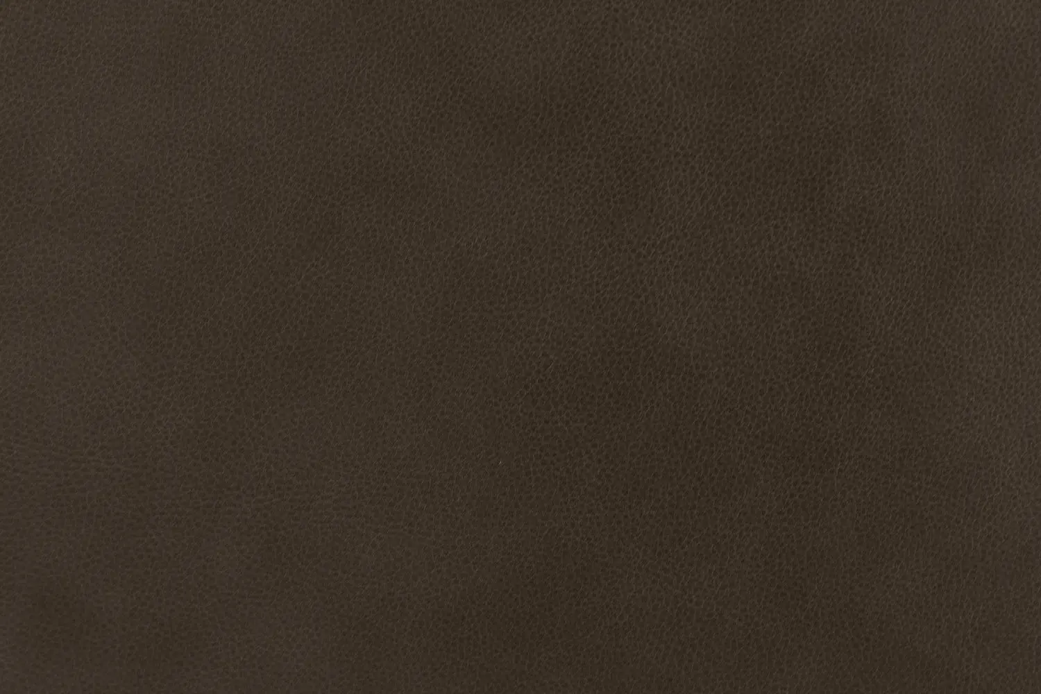 8210345-10