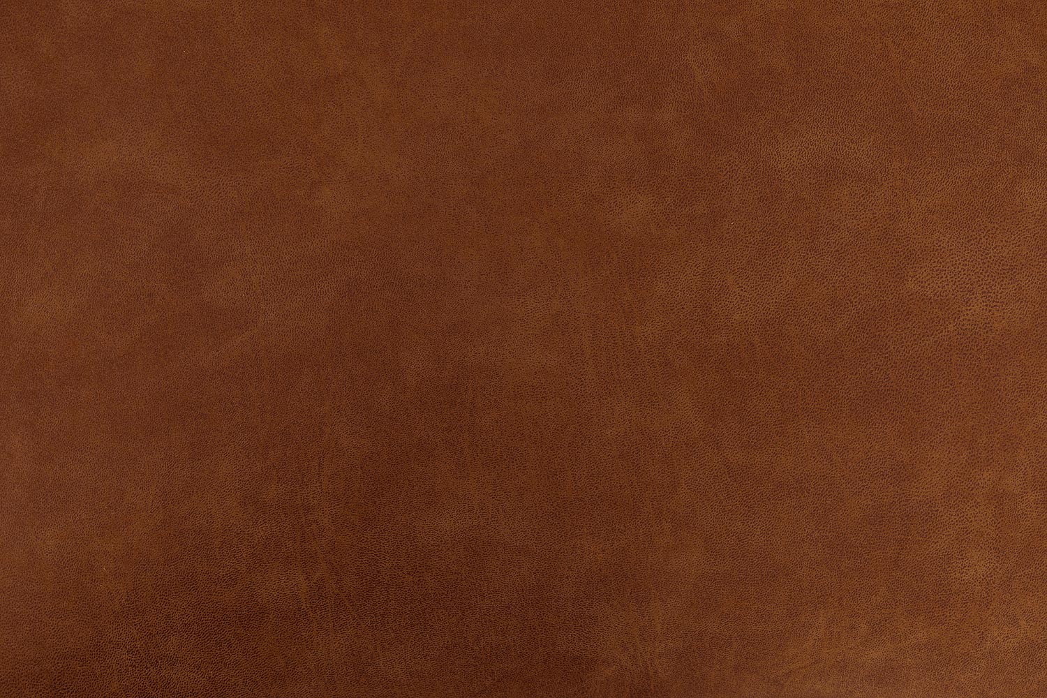 8210603-06