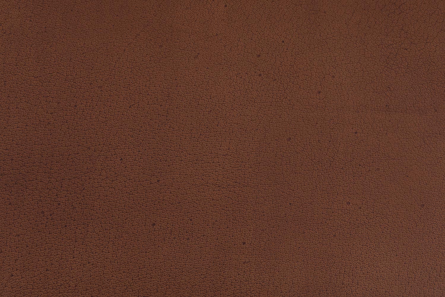 8196000-08